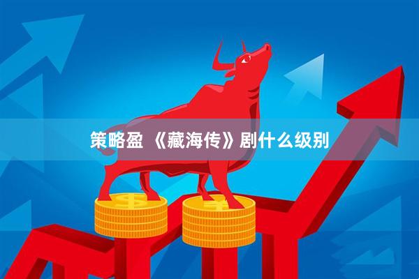 策略盈 《藏海传》剧什么级别
