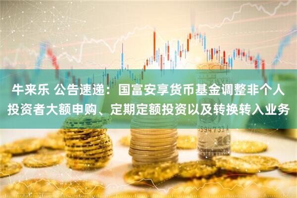 牛来乐 公告速递：国富安享货币基金调整非个人投资者大额申购、定期定额投资以及转换转入业务