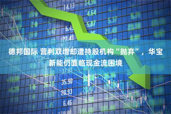 德邦国际 营利双增却遭持股机构“抛弃”，华宝新能仍面临现金流困境