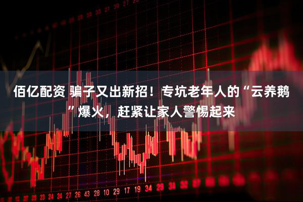 佰亿配资 骗子又出新招！专坑老年人的“云养鹅”爆火，赶紧让家人警惕起来