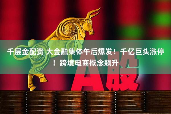 千层金配资 大金融集体午后爆发！千亿巨头涨停！跨境电商概念飙升